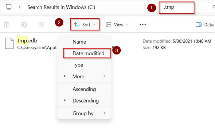 Search for Temporary Files (.tmp or .asd)