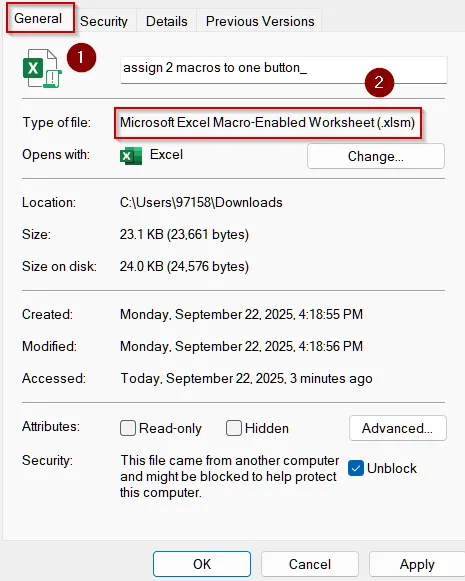 Verify File Format and Enable Macro Settings Globally
