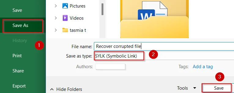 Repair File by Saving in a Different Format