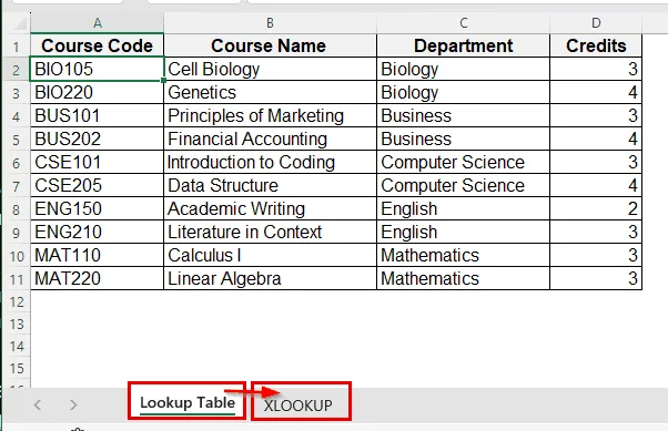 Create a Lookup Table using XLOOKUP Function