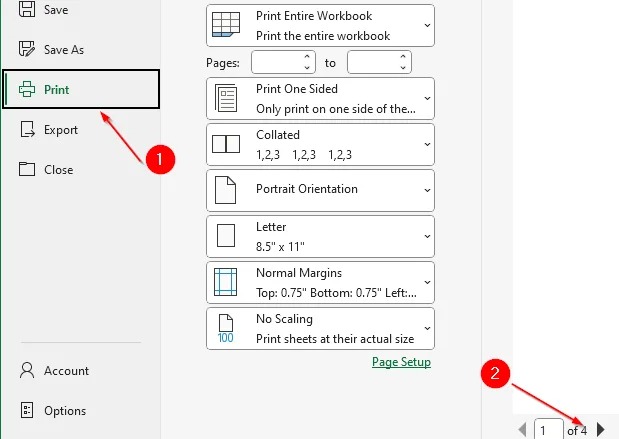 Manually Delete Extra Sheets in Excel Dataset Before Printing