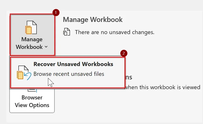 Using Manage Workbook Feature to Recover Previous Version of Excel File