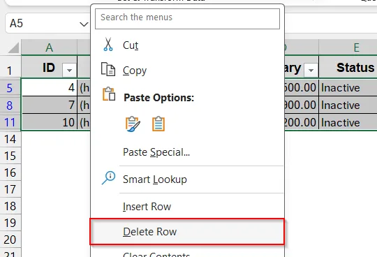 Delete Hidden Rows Created by Filter Option