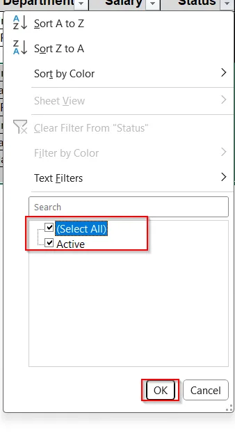 Delete Hidden Rows Created by Filter Option
