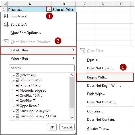Using Label Filters to Filter Text Values