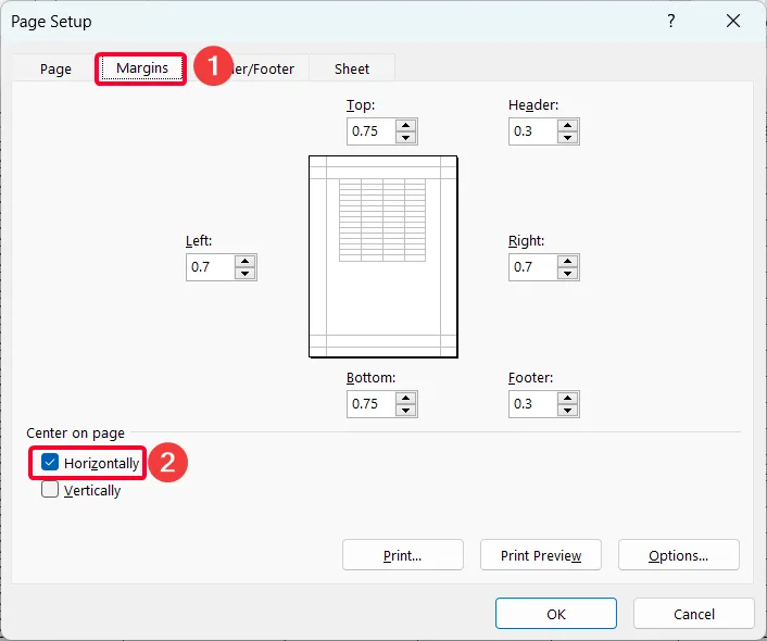 Steps to Make an Excel Spreadsheet Look Like a Page