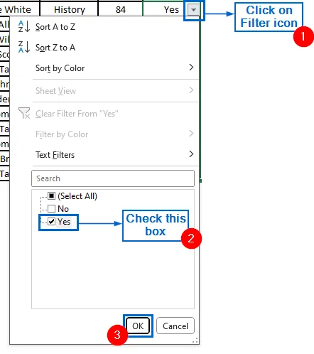 Use the Filter Tool to Highlight Yes and No