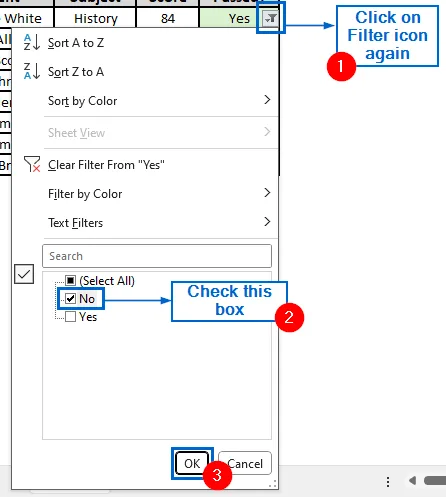 Use the Filter Tool to Highlight Yes and No