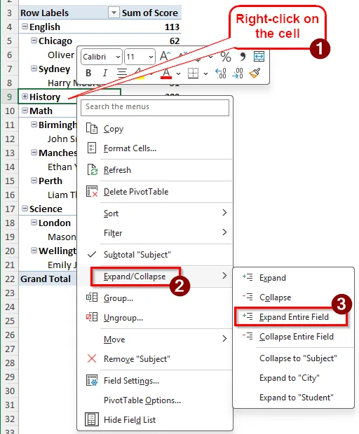 Expand the Pivot Table